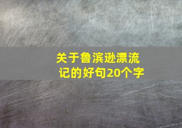 关于鲁滨逊漂流记的好句20个字