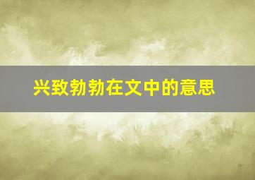 兴致勃勃在文中的意思