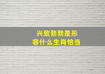 兴致勃勃是形容什么生肖恰当