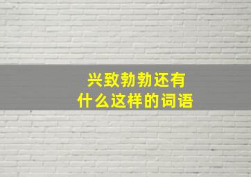 兴致勃勃还有什么这样的词语