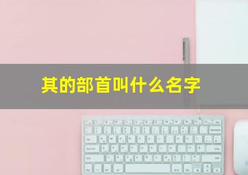 其的部首叫什么名字