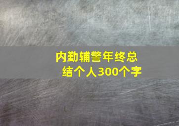 内勤辅警年终总结个人300个字