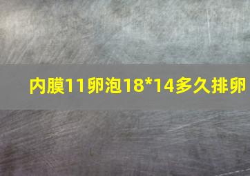 内膜11卵泡18*14多久排卵