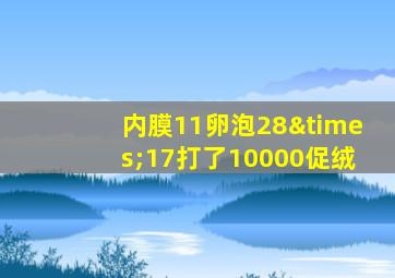 内膜11卵泡28×17打了10000促绒