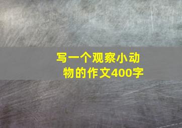 写一个观察小动物的作文400字