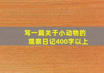 写一篇关于小动物的观察日记400字以上