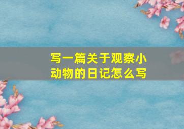 写一篇关于观察小动物的日记怎么写