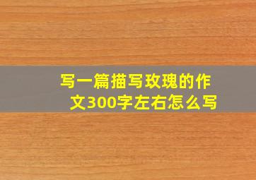 写一篇描写玫瑰的作文300字左右怎么写