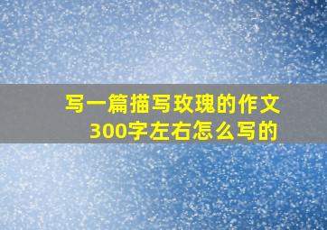 写一篇描写玫瑰的作文300字左右怎么写的