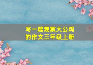 写一篇观察大公鸡的作文三年级上册