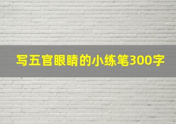 写五官眼睛的小练笔300字