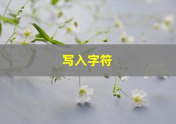 写入字符