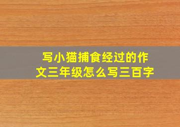 写小猫捕食经过的作文三年级怎么写三百字