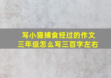 写小猫捕食经过的作文三年级怎么写三百字左右