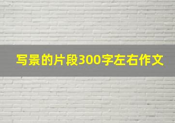 写景的片段300字左右作文