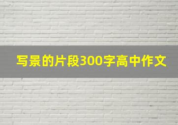 写景的片段300字高中作文