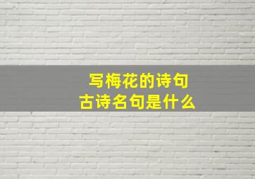 写梅花的诗句古诗名句是什么