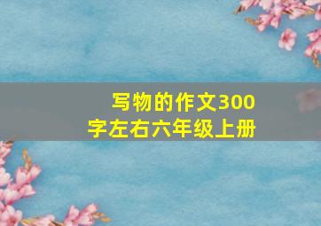 写物的作文300字左右六年级上册