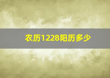 农历1228阳历多少