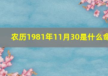 农历1981年11月30是什么命