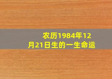 农历1984年12月21日生的一生命运