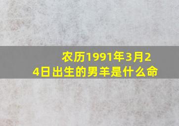 农历1991年3月24日出生的男羊是什么命