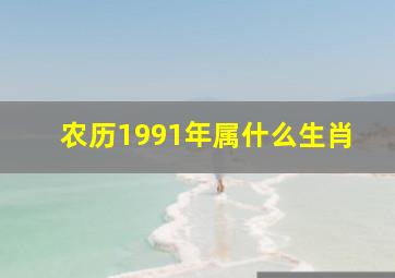 农历1991年属什么生肖