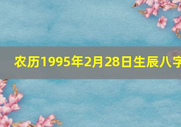 农历1995年2月28日生辰八字