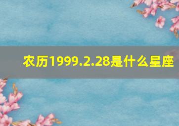 农历1999.2.28是什么星座