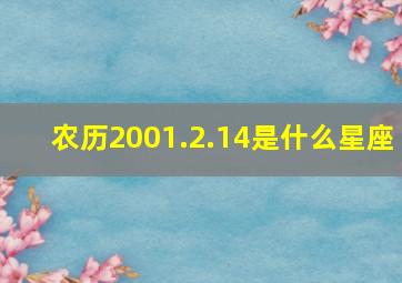 农历2001.2.14是什么星座