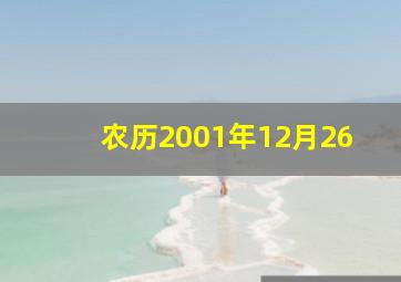 农历2001年12月26