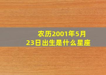 农历2001年5月23日出生是什么星座