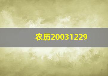 农历20031229