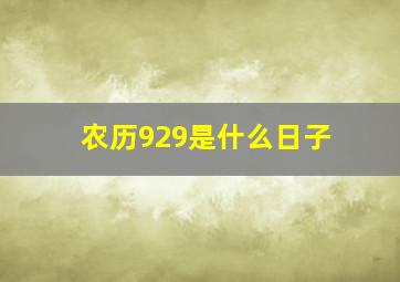 农历929是什么日子