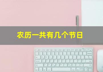 农历一共有几个节日