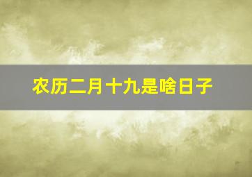 农历二月十九是啥日子