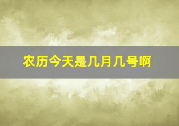 农历今天是几月几号啊