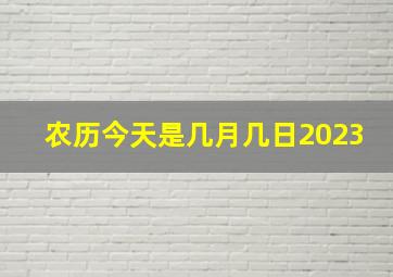 农历今天是几月几日2023