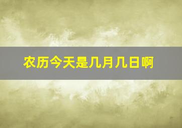 农历今天是几月几日啊