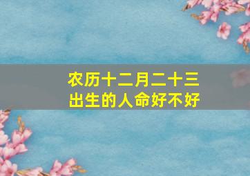 农历十二月二十三出生的人命好不好