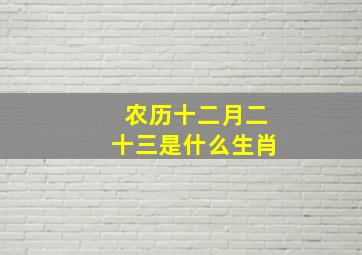 农历十二月二十三是什么生肖