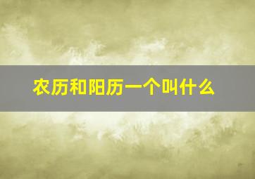 农历和阳历一个叫什么