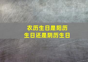 农历生日是阳历生日还是阴历生日