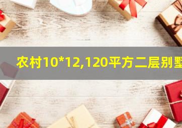 农村10*12,120平方二层别墅