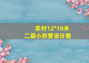 农村12*10米二层小别墅设计图