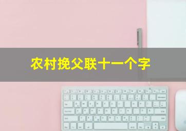 农村挽父联十一个字