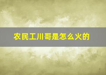 农民工川哥是怎么火的