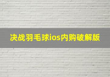 决战羽毛球ios内购破解版