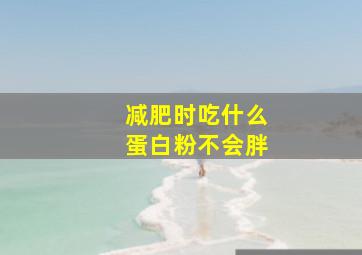 减肥时吃什么蛋白粉不会胖