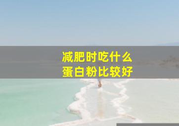 减肥时吃什么蛋白粉比较好